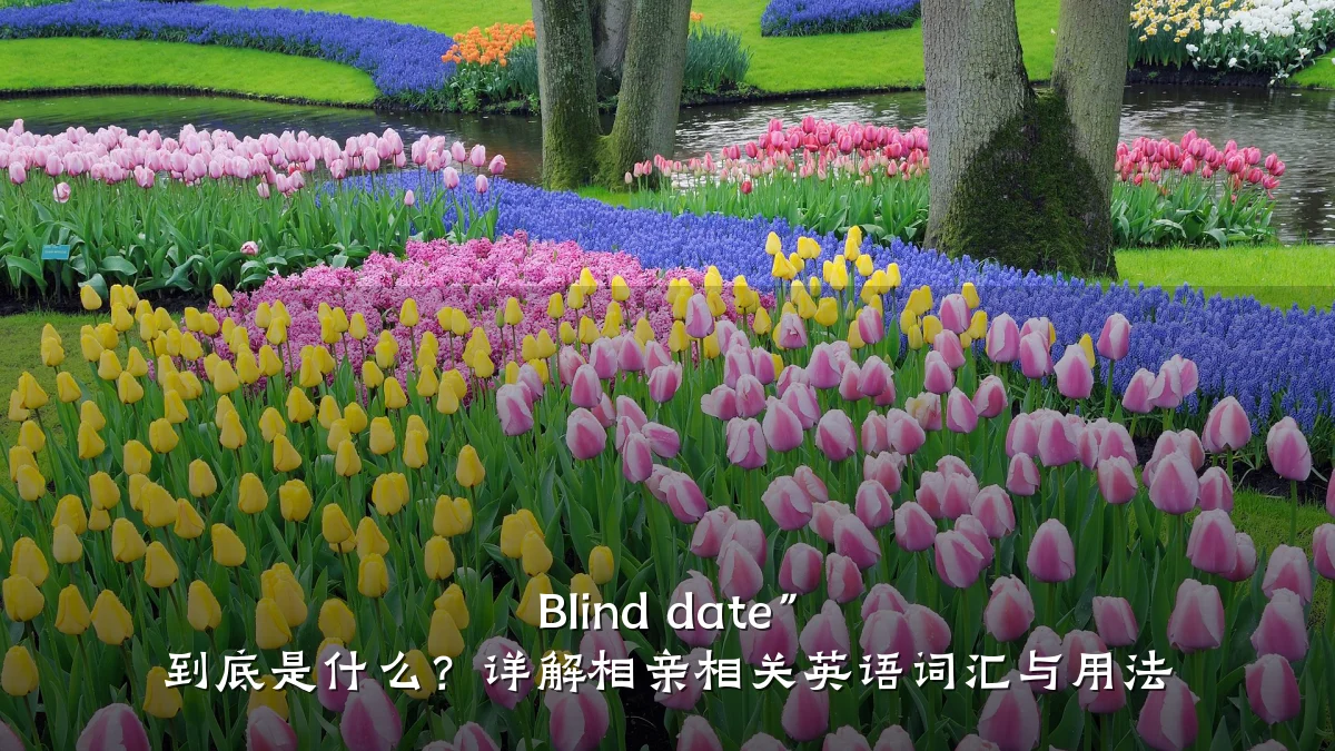Blind date” 到底是什么?详解相亲相关英语词汇与用法