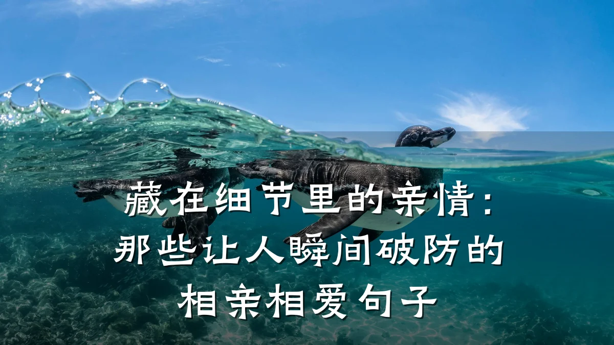 藏在细节里的亲情:那些让人瞬间破防的相亲相爱句子