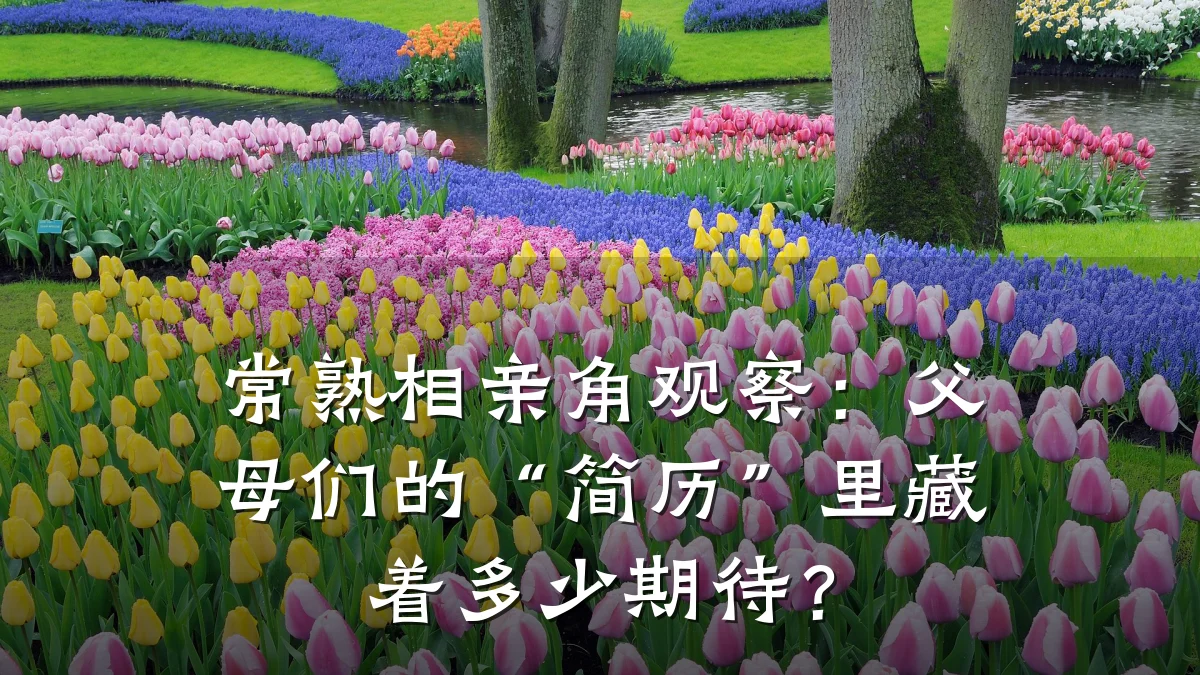 常熟相亲角观察:父母们的“简历”里藏着多少期待?