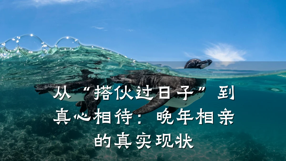 从“搭伙过日子”到真心相待:晚年相亲的真实现状