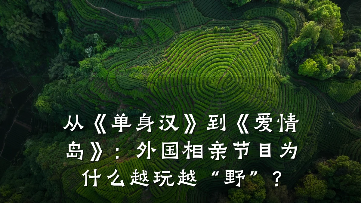 从《单身汉》到《爱情岛》:外国相亲节目为什么越玩越“野”?