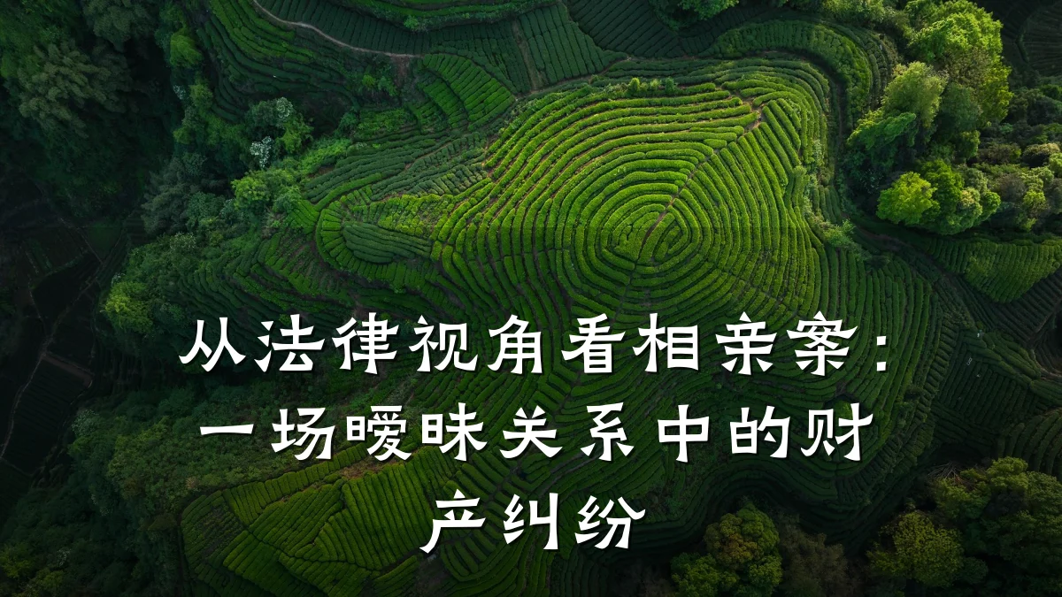从法律视角看相亲案:一场暧昧关系中的财产纠纷