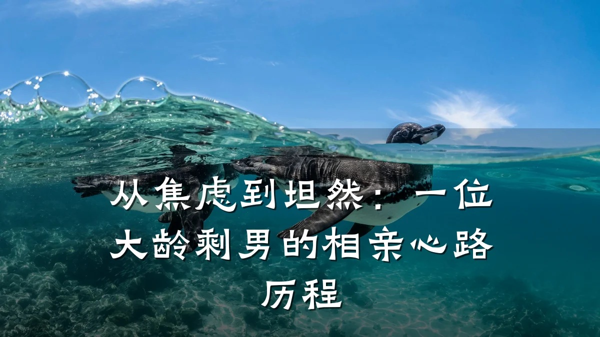 从焦虑到坦然:一位大龄剩男的相亲心路历程