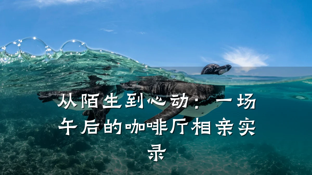 从陌生到心动:一场午后的咖啡厅相亲实录