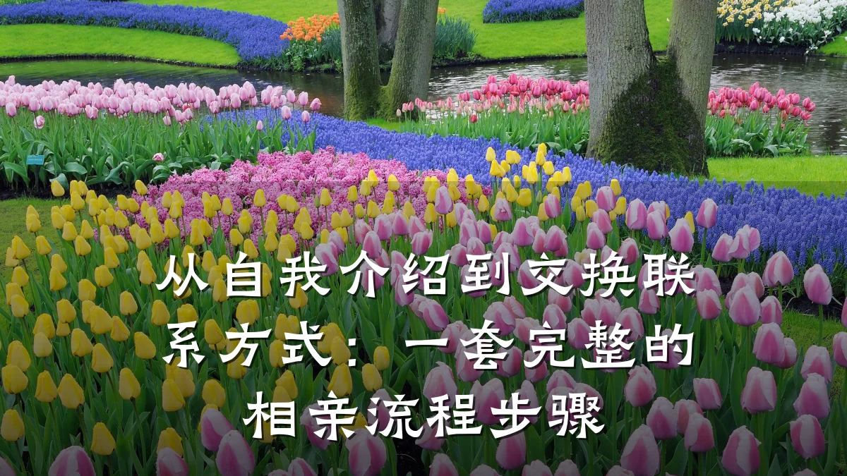 从自我介绍到交换联系方式:一套完整的相亲流程步骤