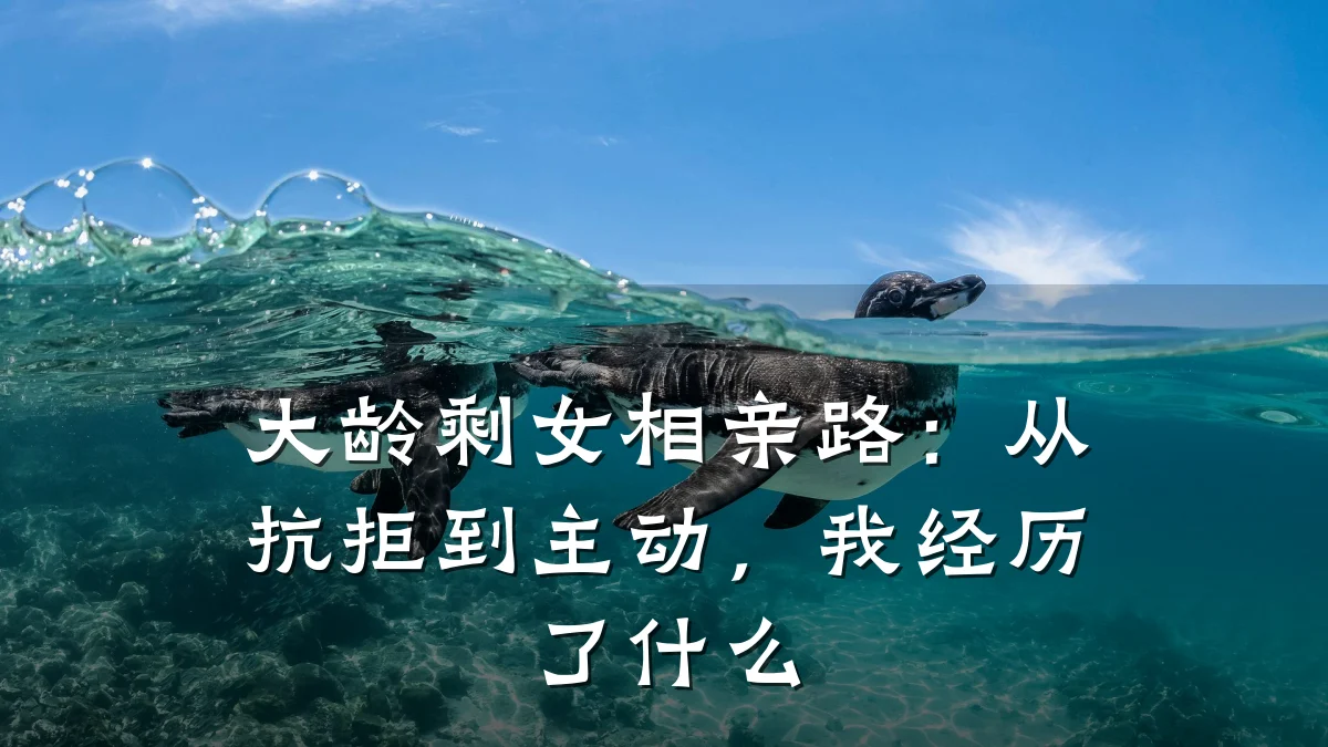大龄剩女相亲路:从抗拒到主动,我经历了什么