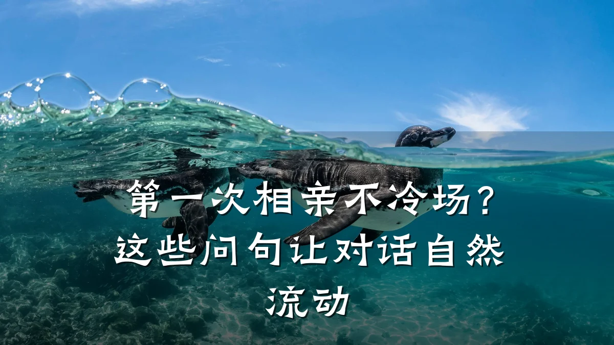 第一次相亲不冷场?这些问句让对话自然流动