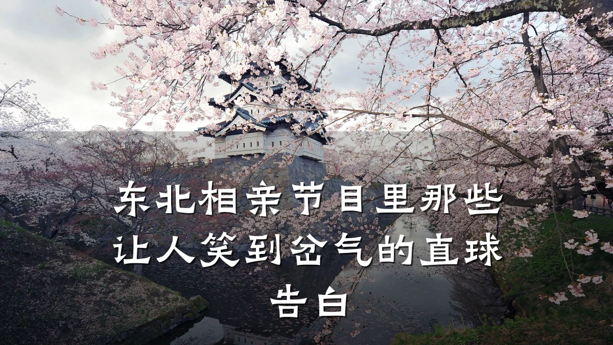东北相亲节目里那些让人笑到岔气的直球告白