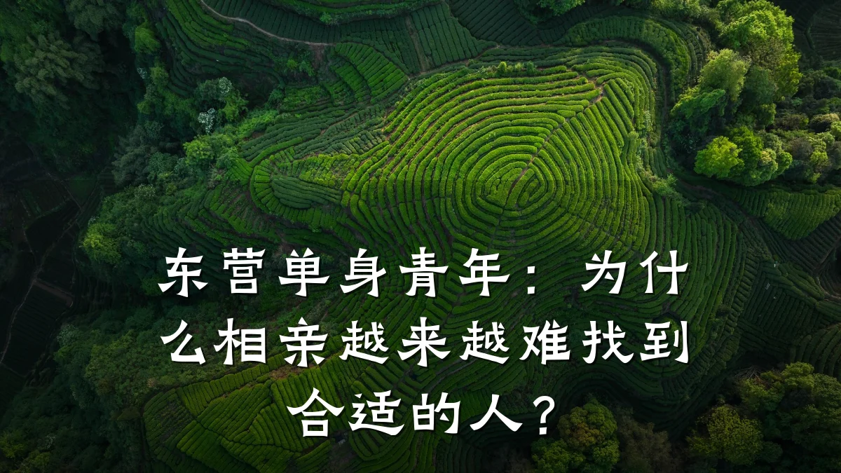 东营单身青年:为什么相亲越来越难找到合适的人?