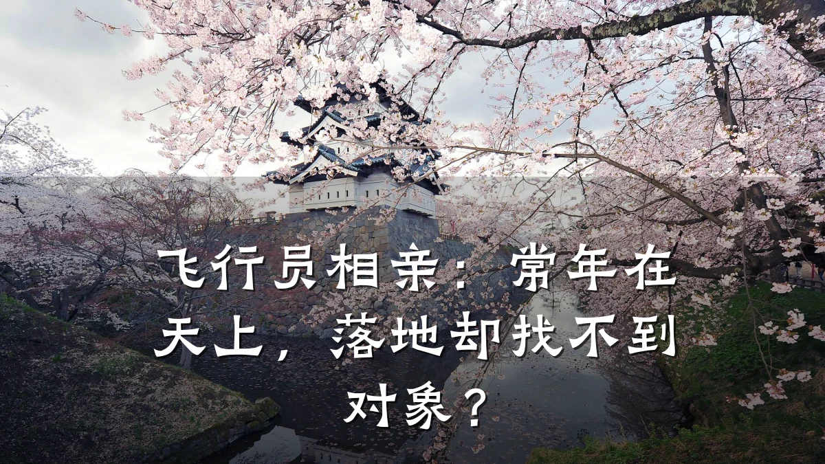 飞行员相亲:常年在天上,落地却找不到对象?