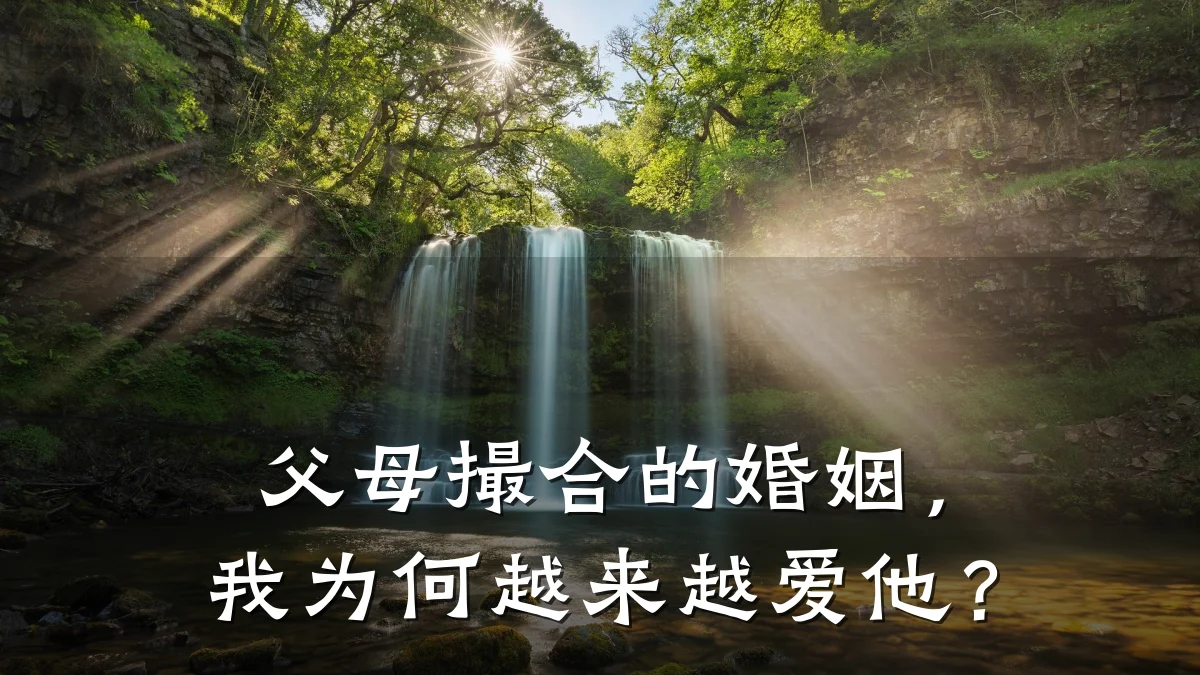 父母撮合的婚姻,我为何越来越爱他?