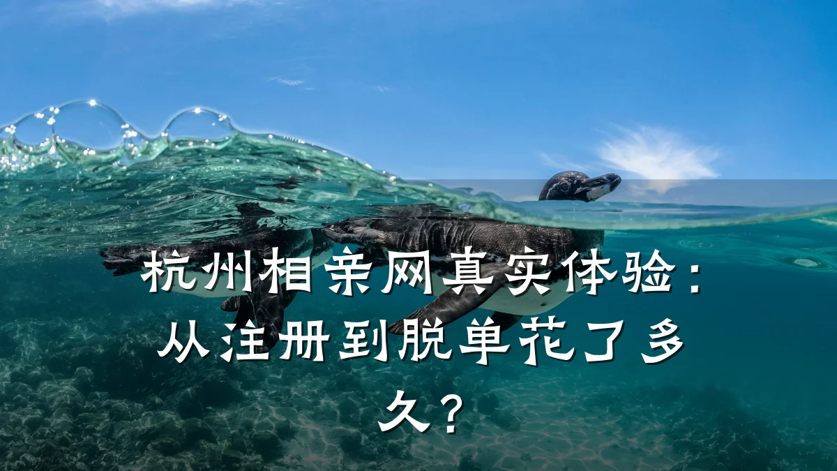 杭州相亲网真实体验:从注册到脱单花了多久?