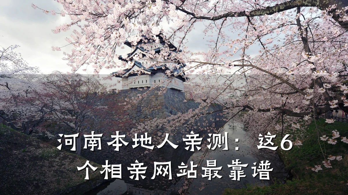 河南本地人亲测:这6个相亲网站最靠谱