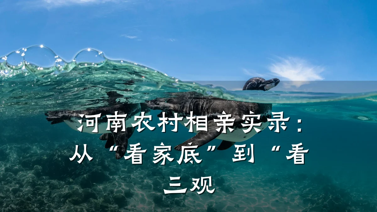 河南农村相亲实录:从“看家底”到“看三观