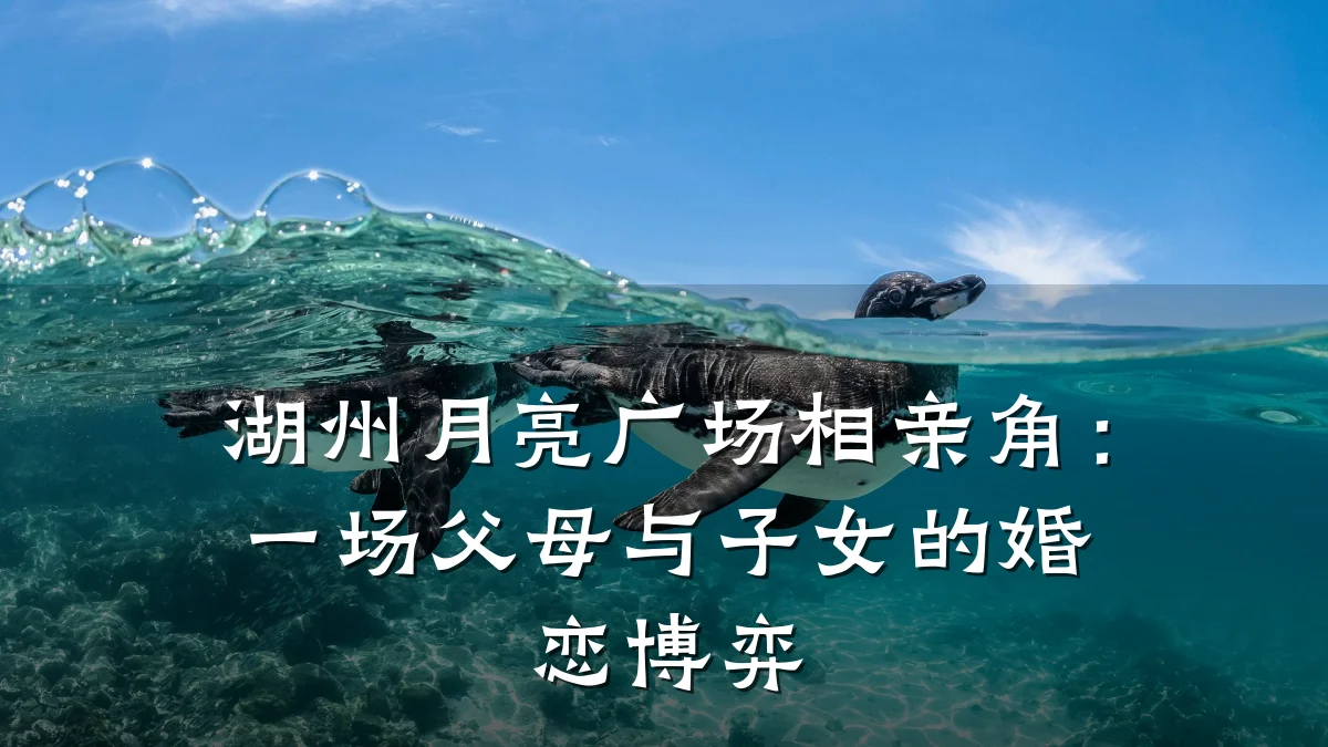 湖州月亮广场相亲角:一场父母与子女的婚恋博弈