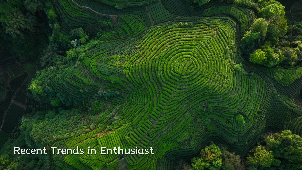 Recent Trends in Enthusiast