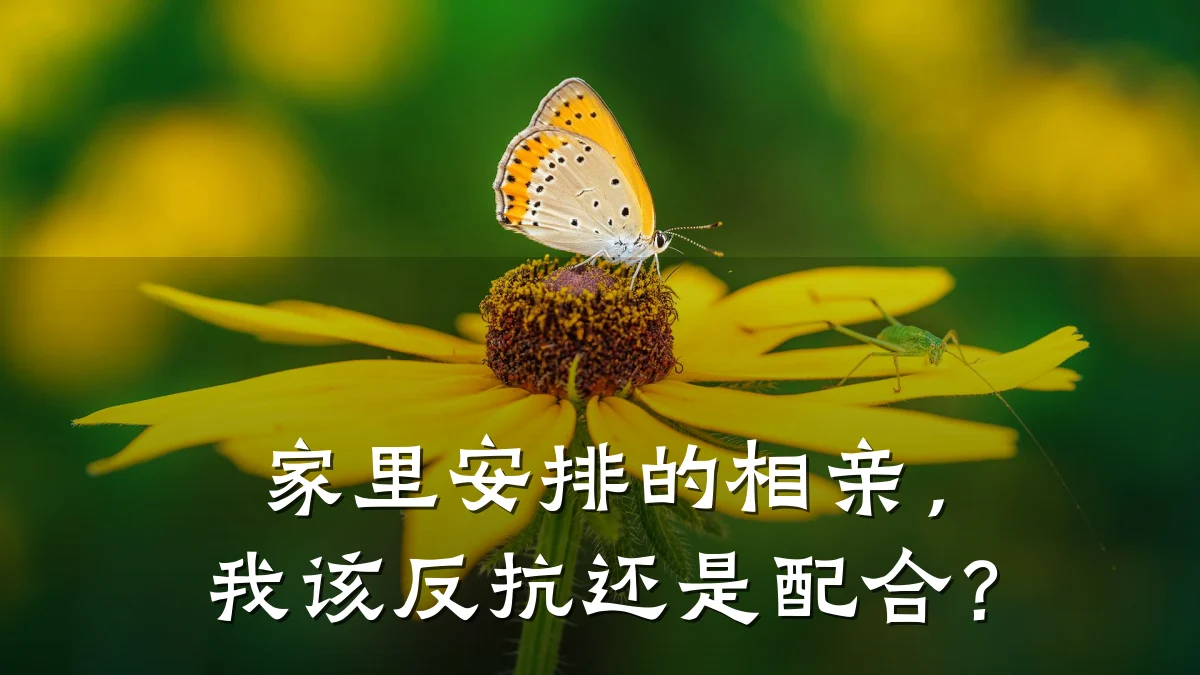 家里安排的相亲,我该反抗还是配合?