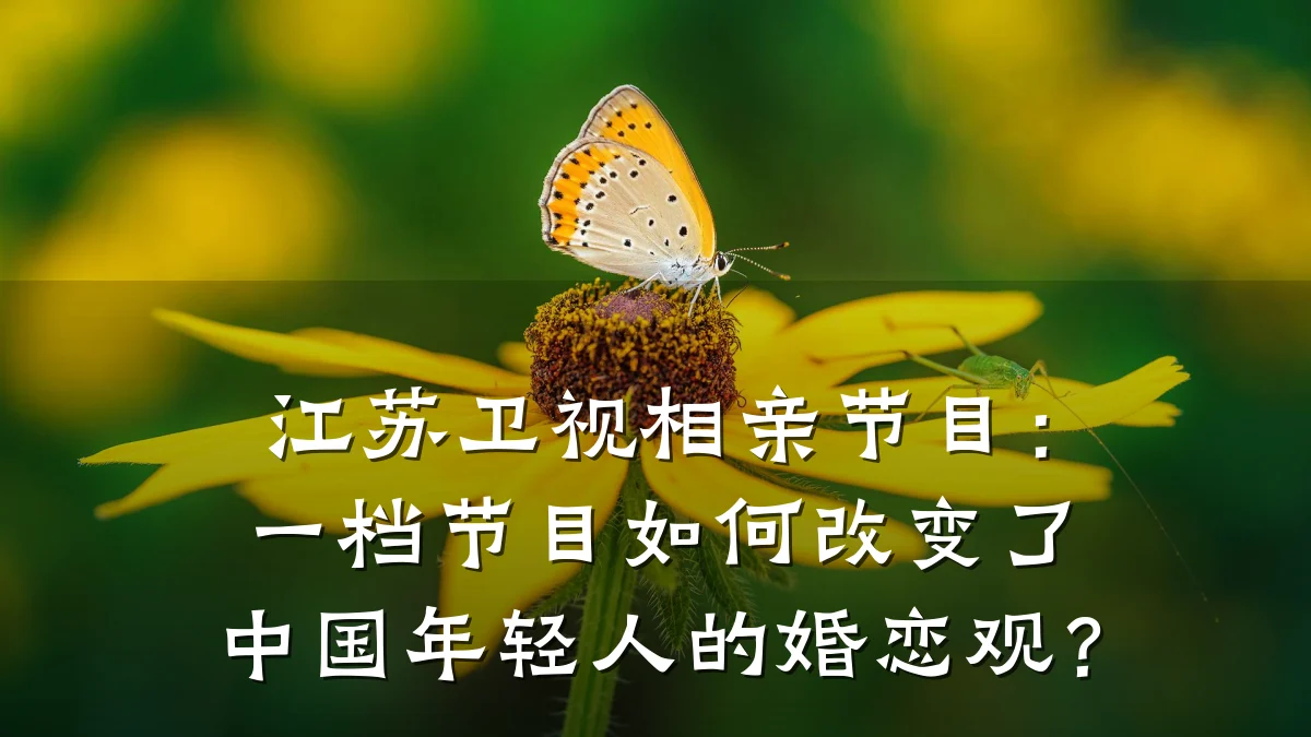 江苏卫视相亲节目：一档节目如何改变了中国年轻人的婚恋观？