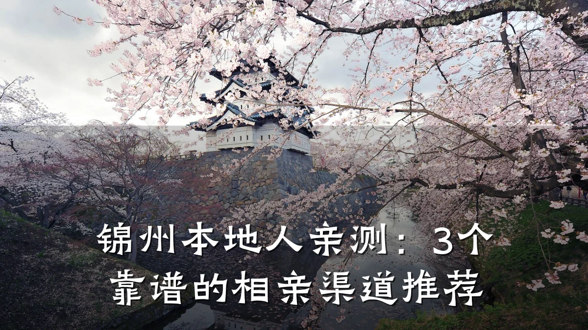锦州本地人亲测:3个靠谱的相亲渠道推荐