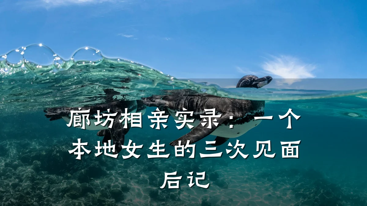 廊坊相亲实录:一个本地女生的三次见面后记