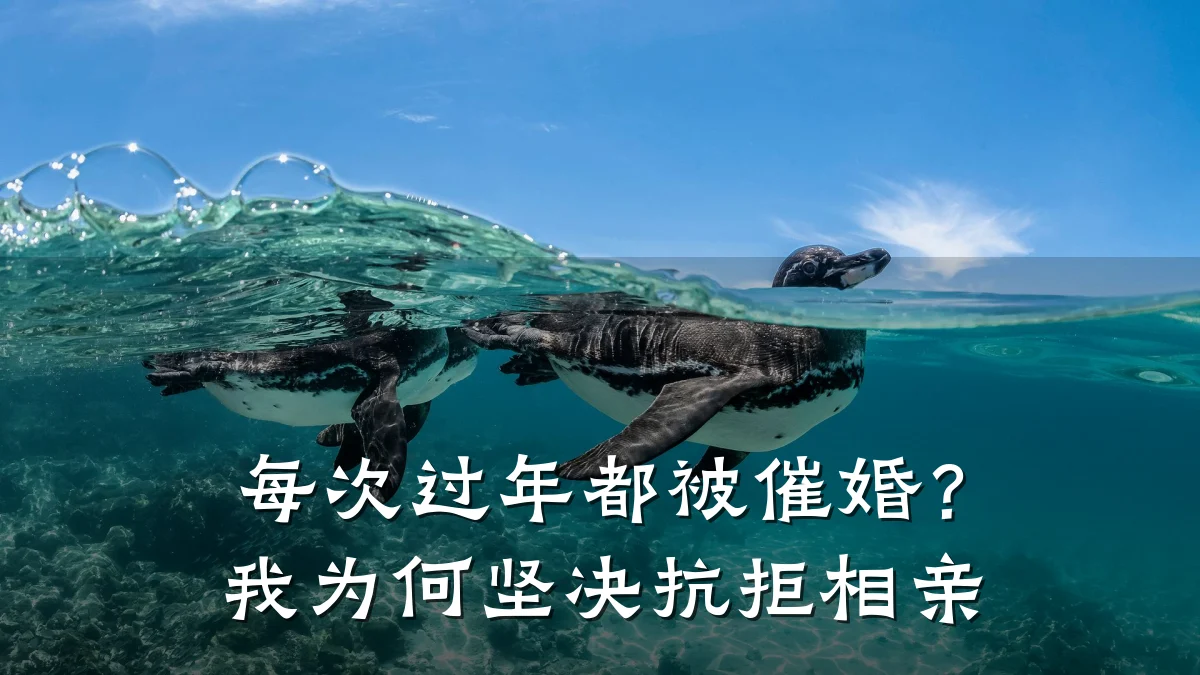 每次过年都被催婚?我为何坚决抗拒相亲