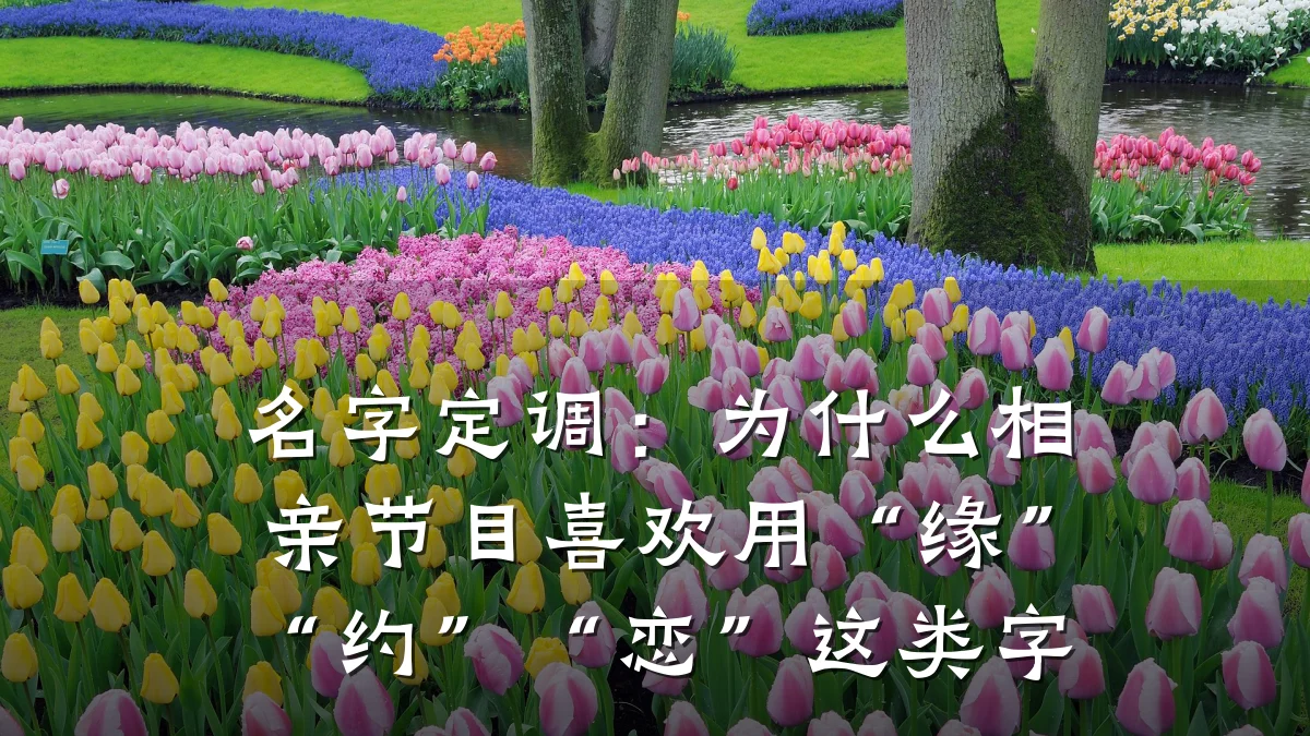 名字定调:为什么相亲节目喜欢用“缘”“约”“恋”这类字