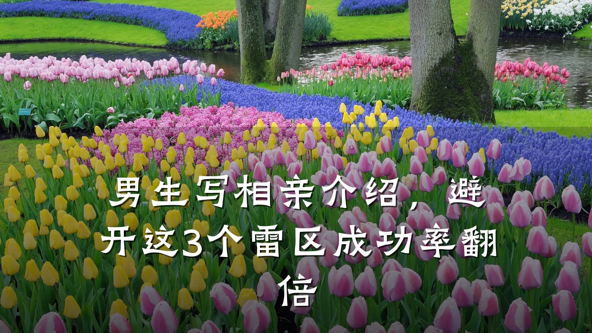 男生写相亲介绍,避开这3个雷区成功率翻倍