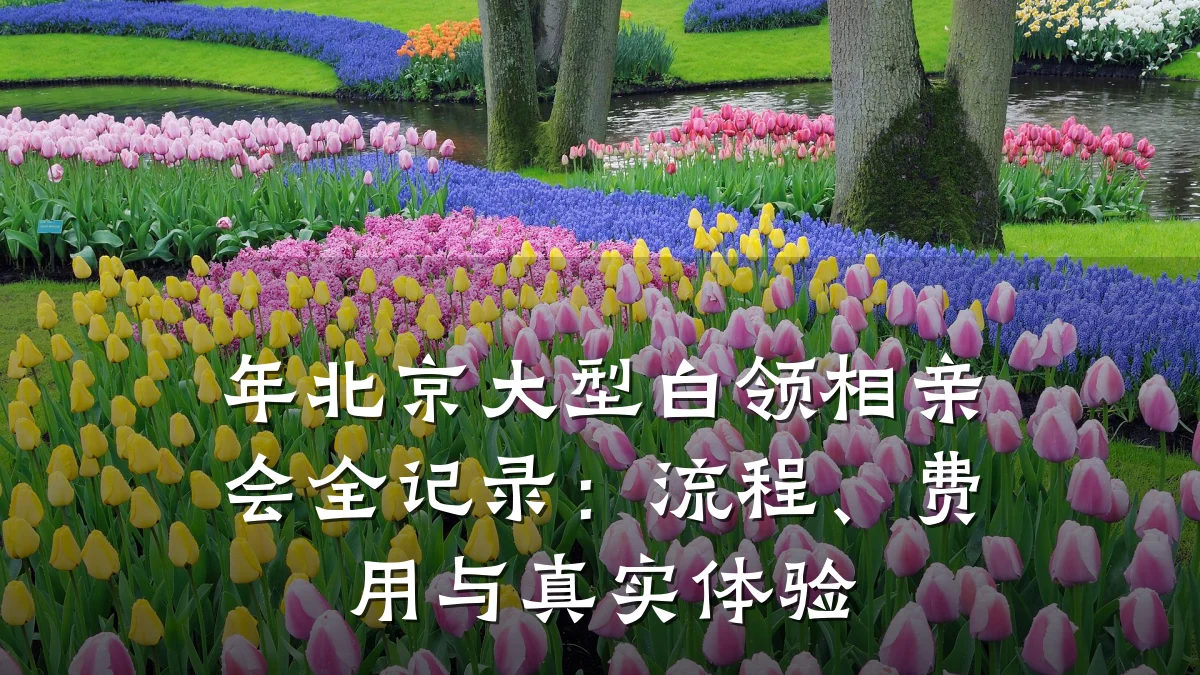 年北京大型白领相亲会全记录:流程、费用与真实体验