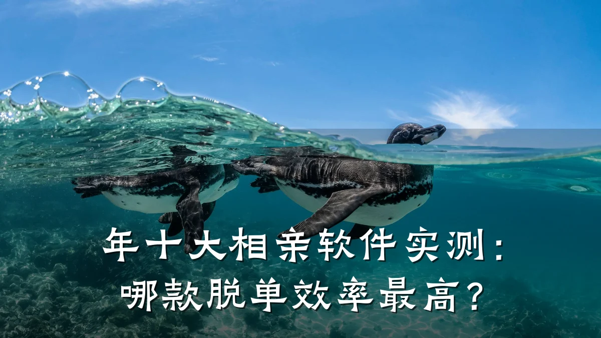 年十大相亲软件实测:哪款脱单效率最高?