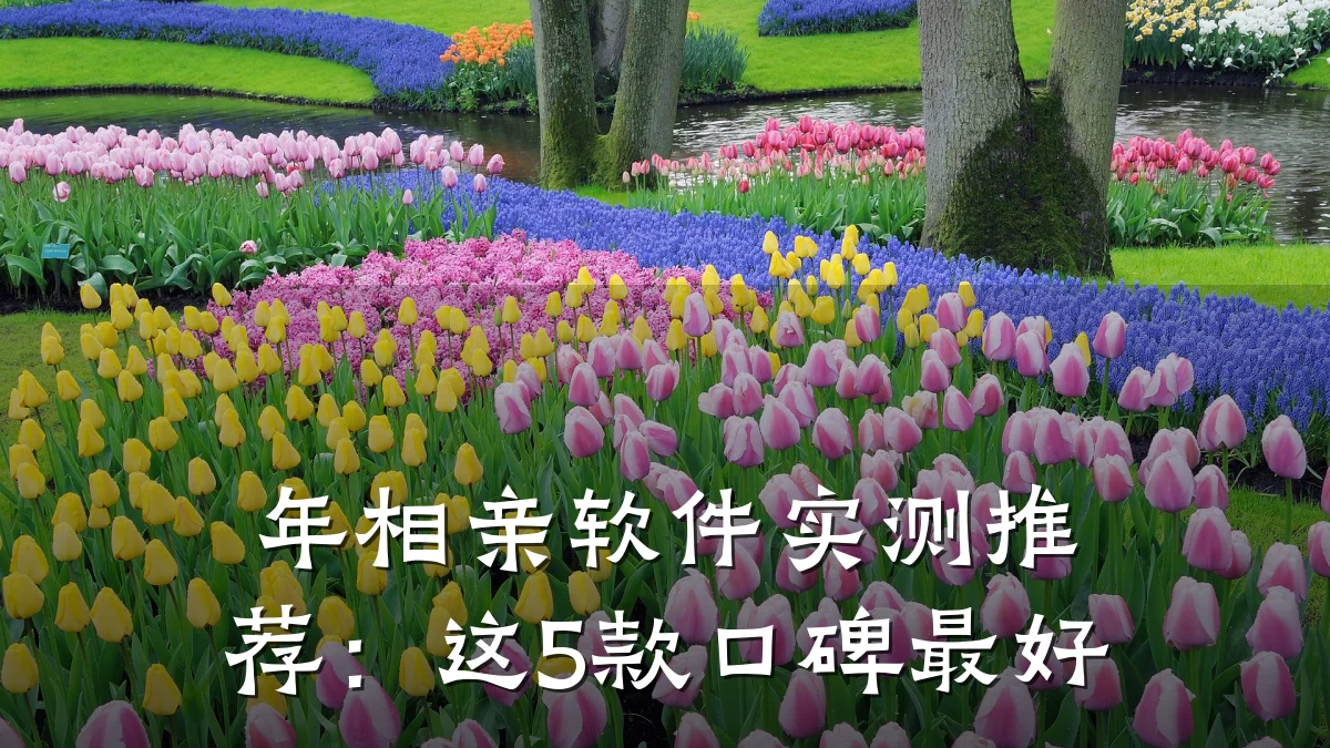年相亲软件实测推荐:这5款口碑最好