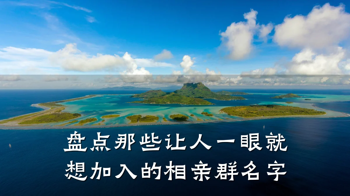 盘点那些让人一眼就想加入的相亲群名字