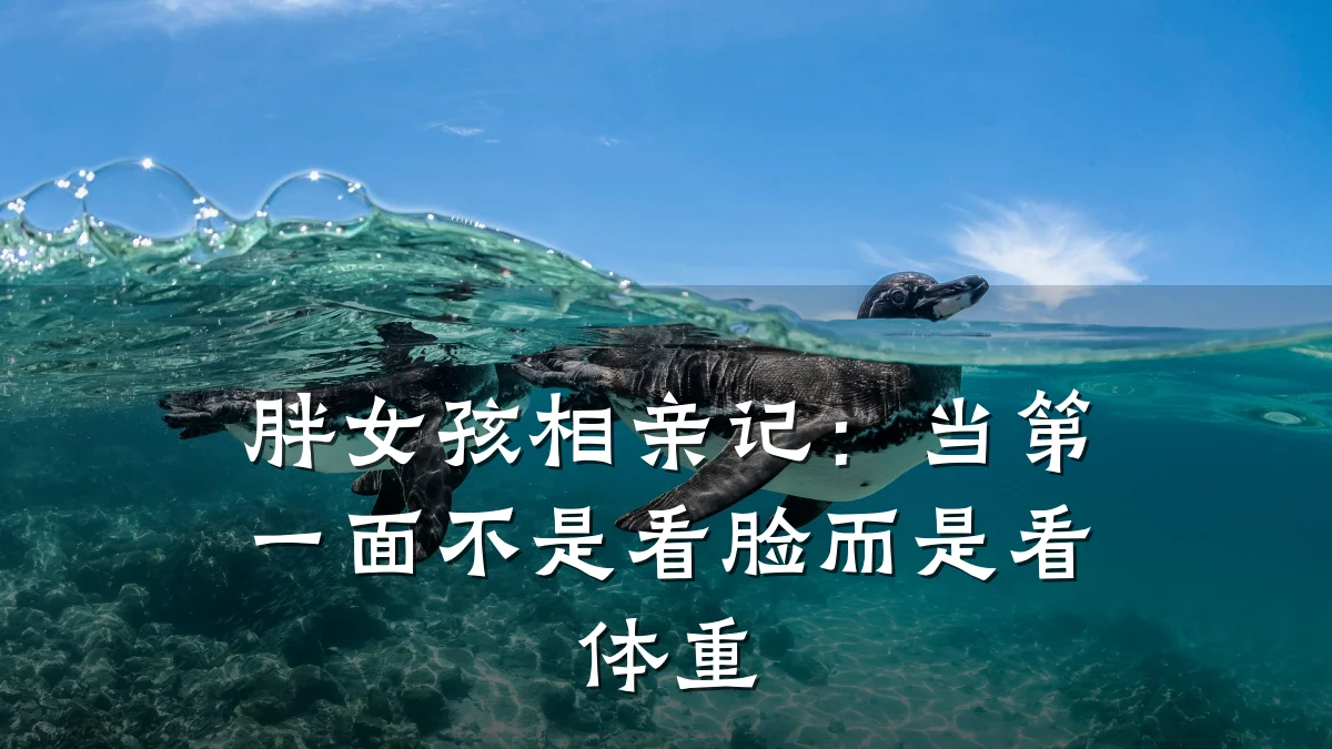 胖女孩相亲记:当第一面不是看脸而是看体重