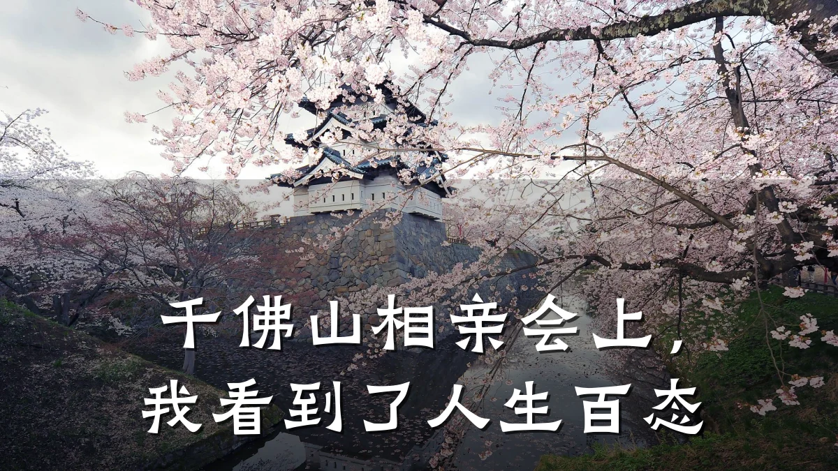 千佛山相亲会上,我看到了人生百态