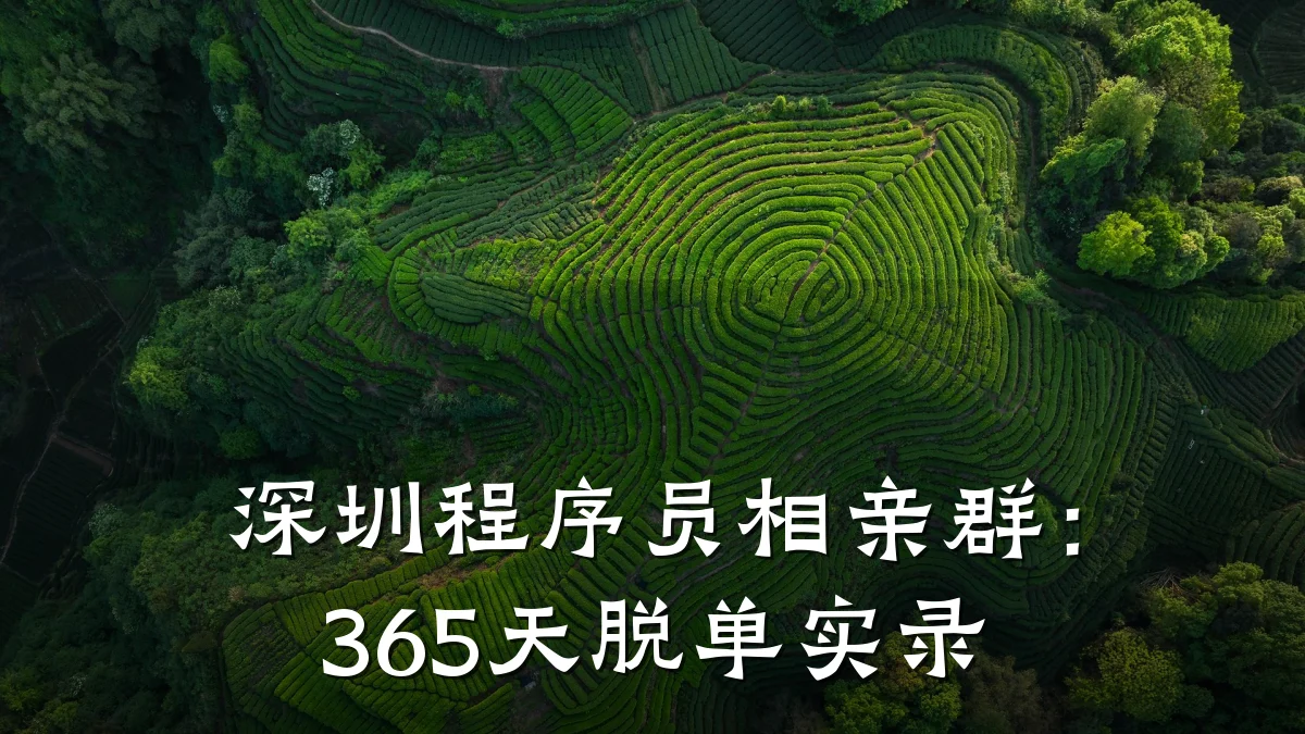 深圳程序员相亲群:365天脱单实录