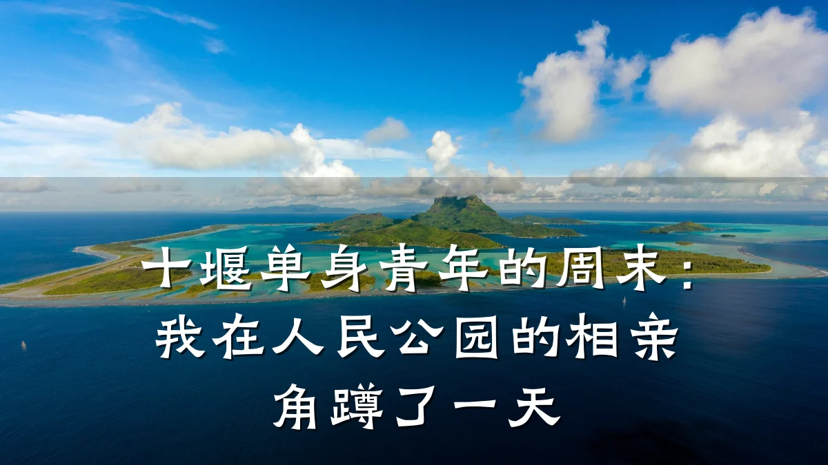 十堰单身青年的周末:我在人民公园的相亲角蹲了一天