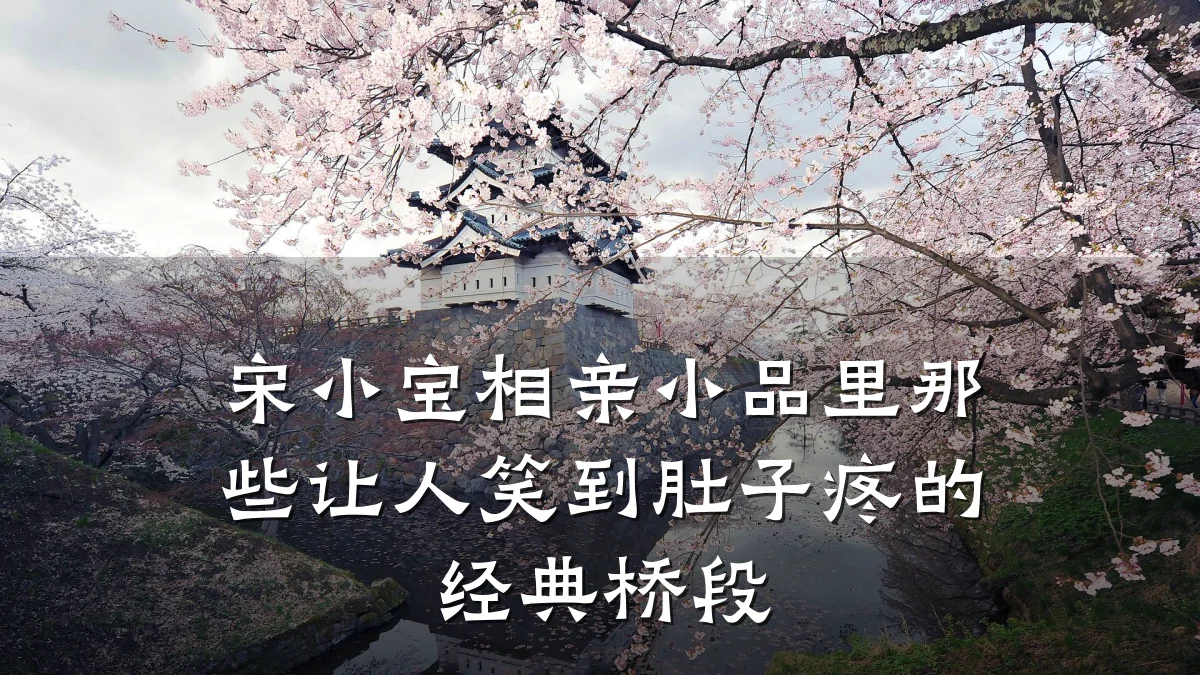 宋小宝相亲小品里那些让人笑到肚子疼的经典桥段