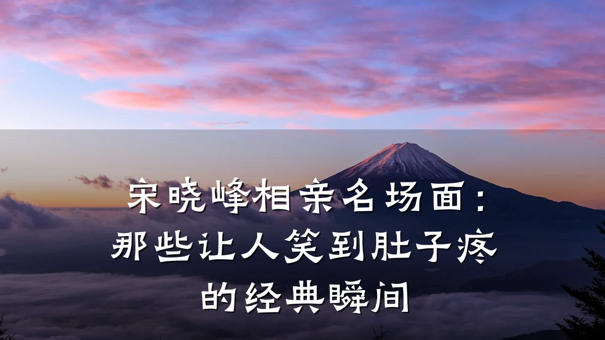 宋晓峰相亲名场面:那些让人笑到肚子疼的经典瞬间