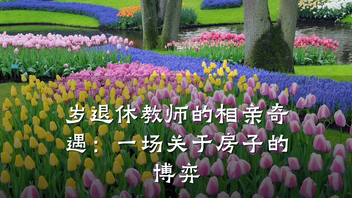 岁退休教师的相亲奇遇:一场关于房子的博弈