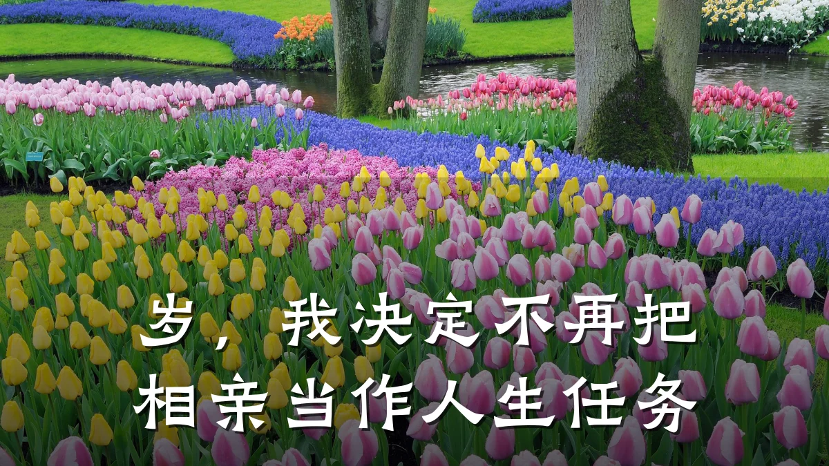 岁,我决定不再把相亲当作人生任务