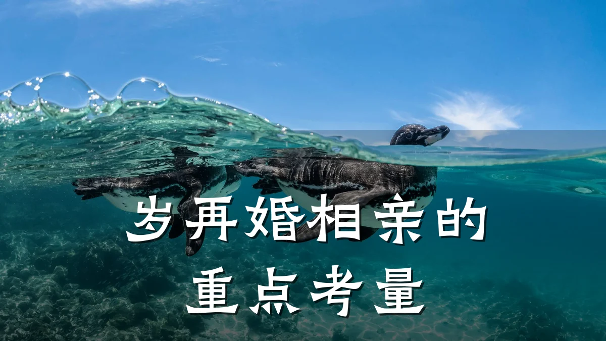 岁再婚相亲的重点考量