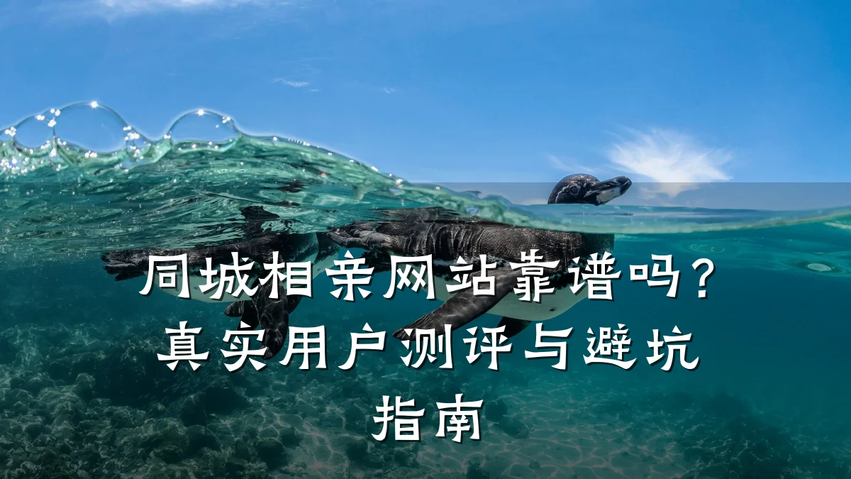 同城相亲网站靠谱吗?真实用户测评与避坑指南
