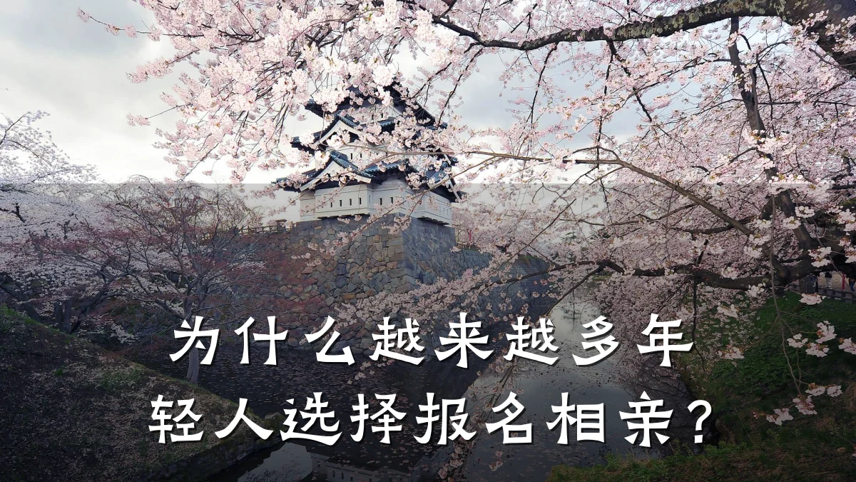 为什么越来越多年轻人选择报名相亲?