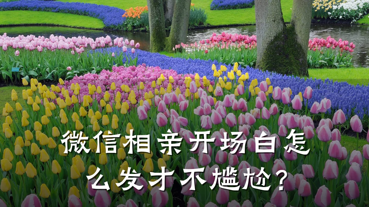 微信相亲开场白怎么发才不尴尬?