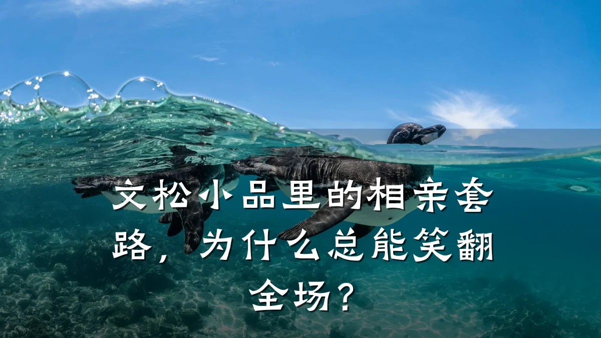 文松小品里的相亲套路,为什么总能笑翻全场?
