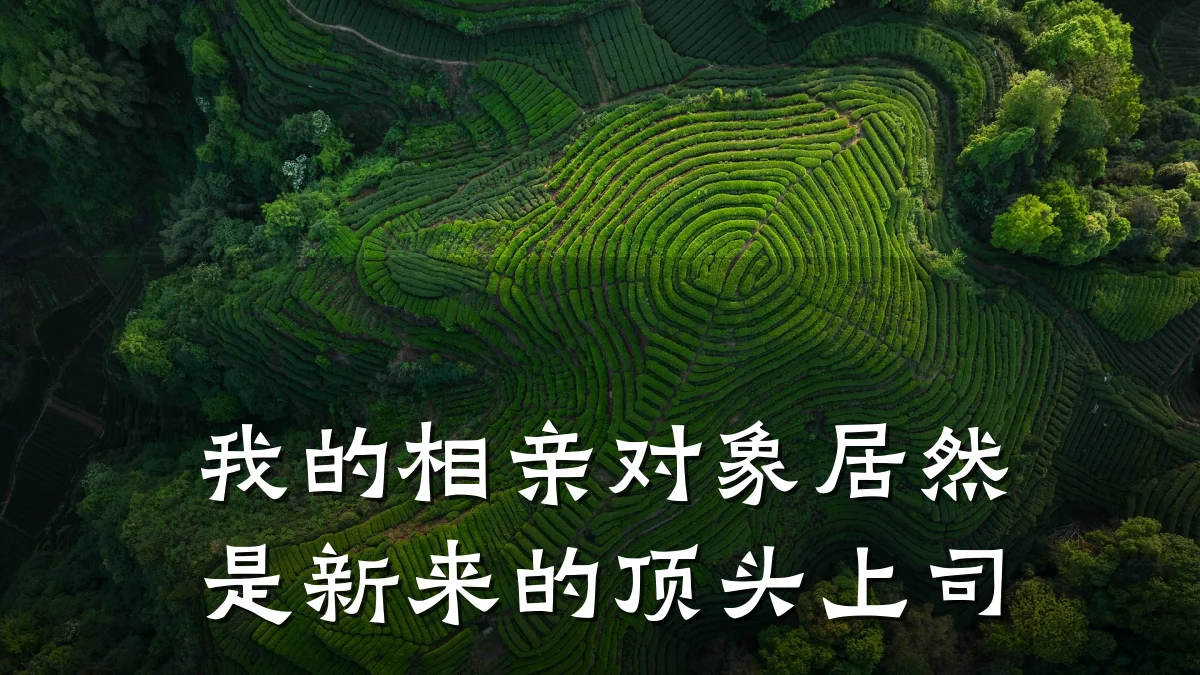 我的相亲对象居然是新来的顶头上司