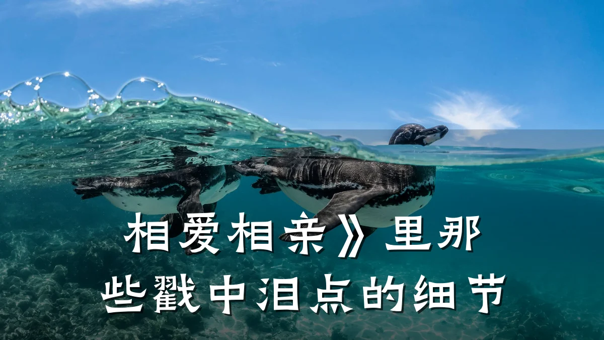 相爱相亲》里那些戳中泪点的细节