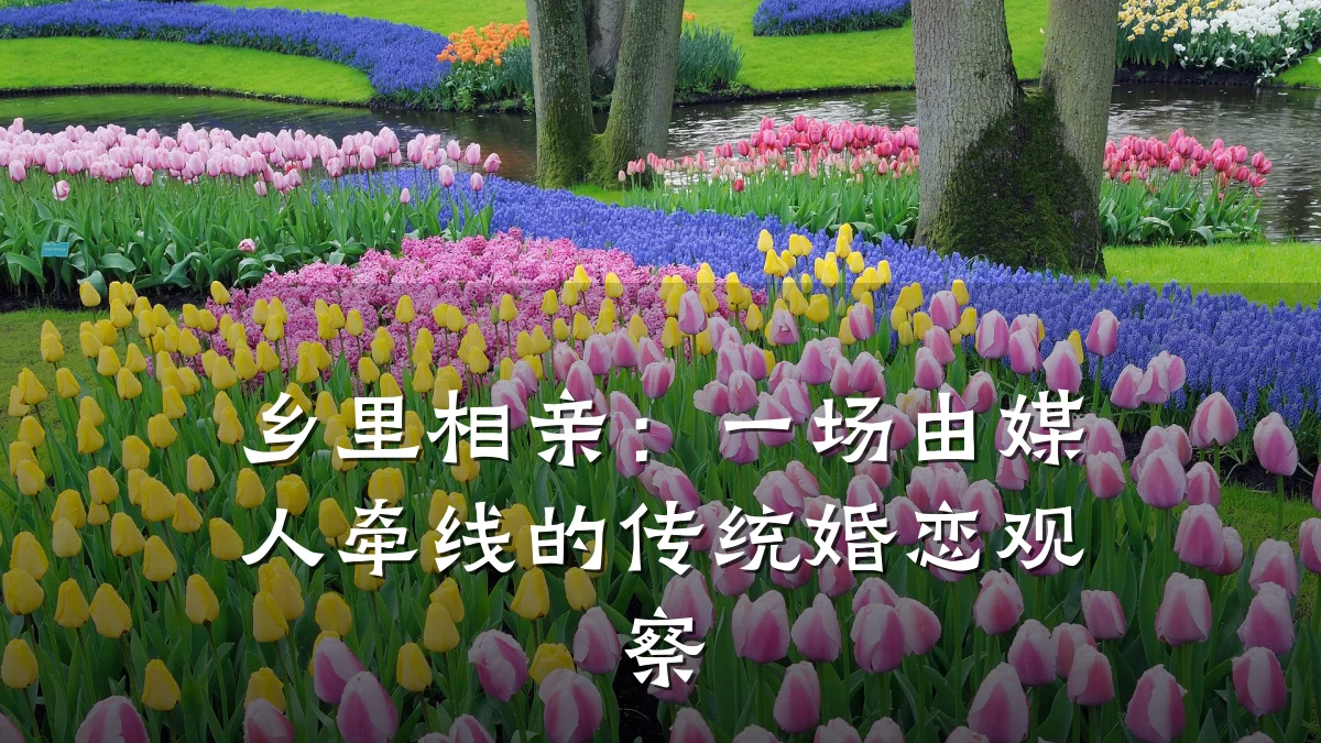 乡里相亲:一场由媒人牵线的传统婚恋观察
