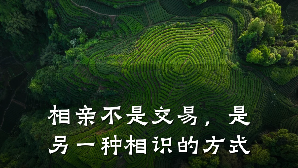 相亲不是交易,是另一种相识的方式