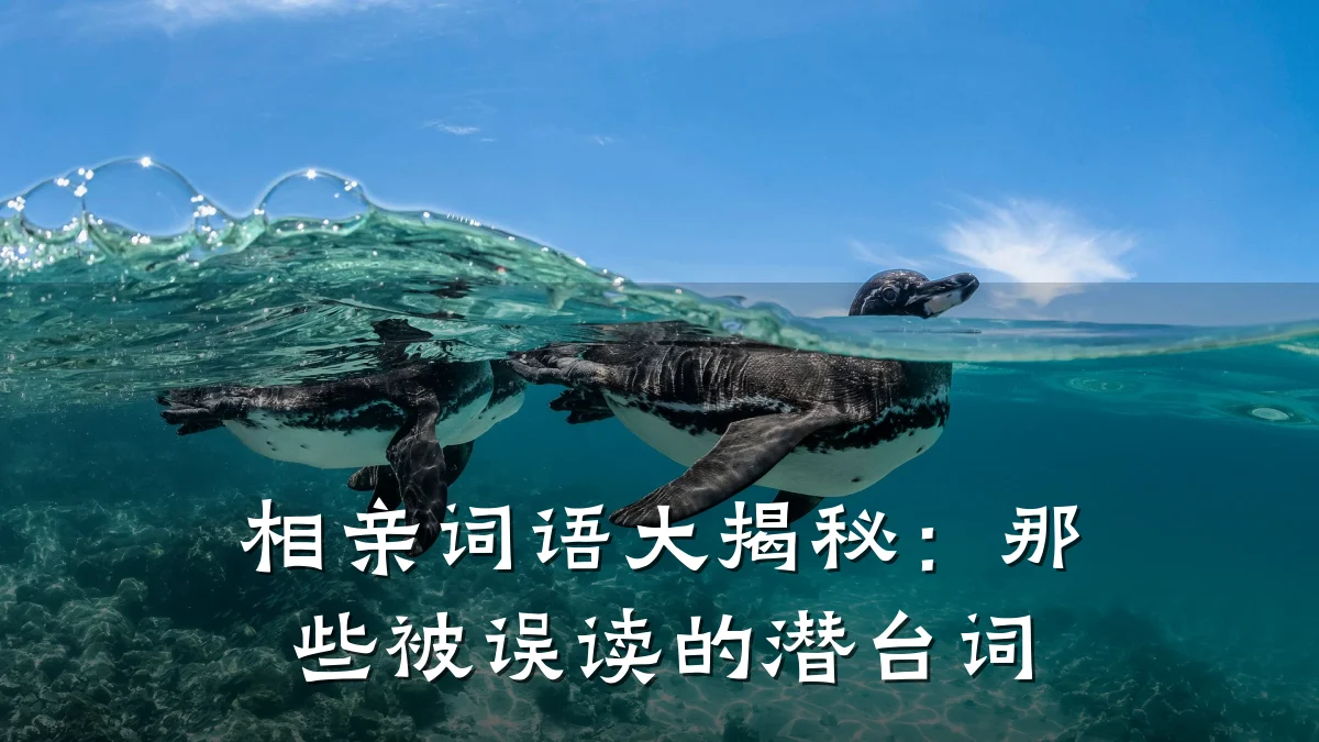 相亲词语大揭秘:那些被误读的潜台词