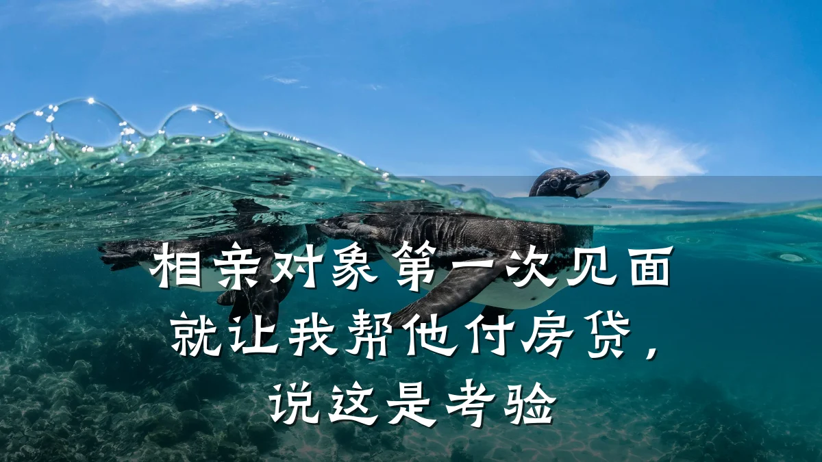 相亲对象第一次见面就让我帮他付房贷,说这是考验